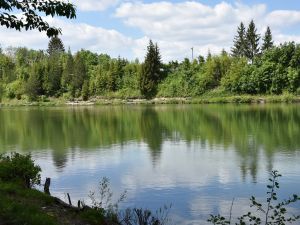 TON - Zbiornik wodny w Goleszowie